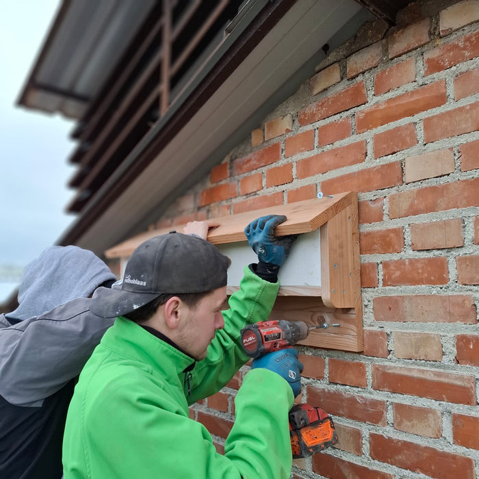 Nichoir à pipistrelle en bois